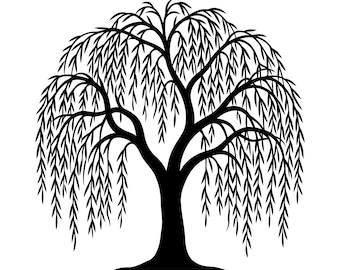 Weeping Willow Svg, Tree Svg, Willow Tree Vector, Willow Tree Clipart, Cricut Vector, Cut File, Instant Download, Commercial Use