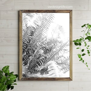 Fern Plant Printable Art | Black and White Botanical Photography