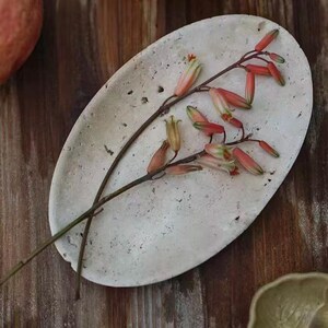 May include: An oval-shaped, off-white tray with a porous, textured surface. Resting on the tray is a slender, brown stem featuring multiple small, elongated, coral-pink and pale green flower buds arranged along its branching structure.
