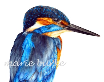 Kingfisher Print, Large fine Art Print, Kingfisher Bird Painting, Home Decor Wall Art, Wildlife Painting, Bird Watercolor, Gifts, Art Prints