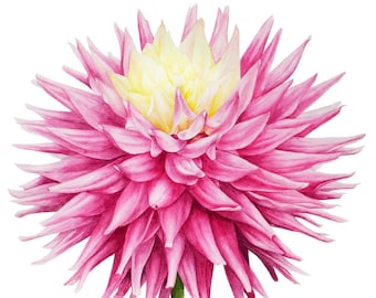 Originele aquarel schilderij, roze dahlia, botanische kunst, aquarel bloem schilderij, aquarel, beeldende kunst, cadeau voor haar, dahlia