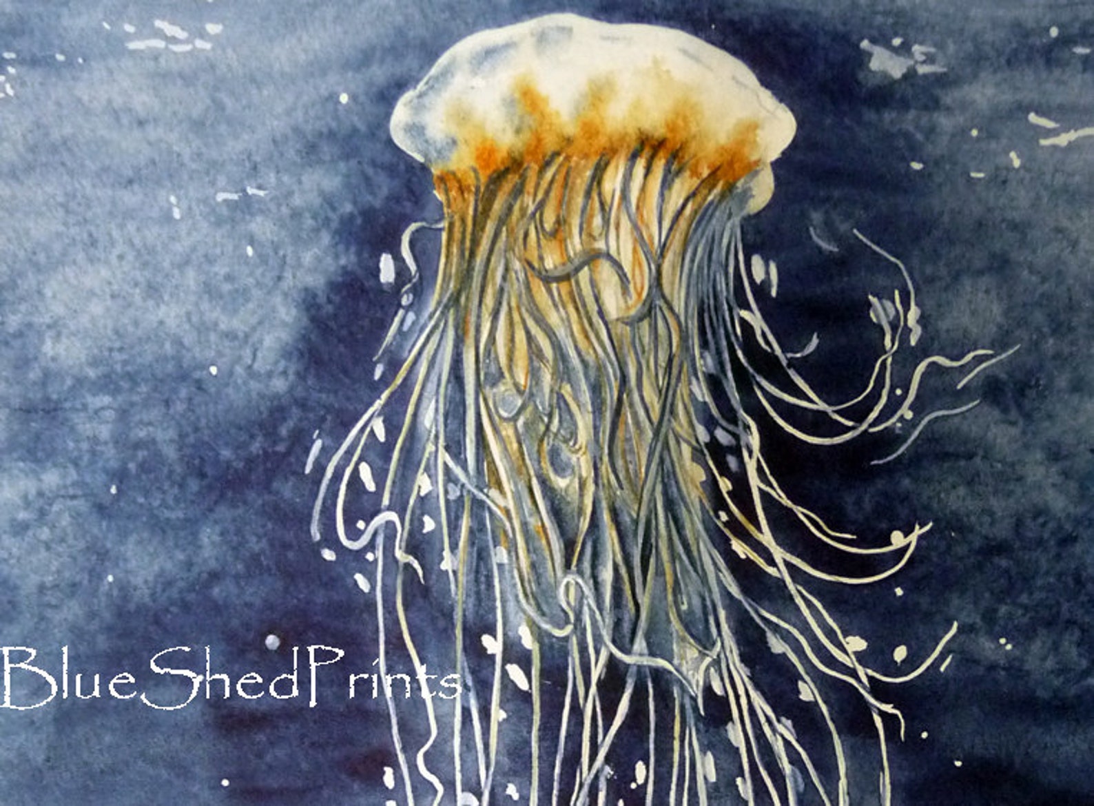 Large Jellyfish Print ocean wall art nautical painting Etsy