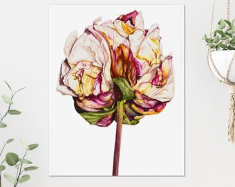 Peony Watercolor Art Print: Botanical Flower Painting, Elegant Wall Decor