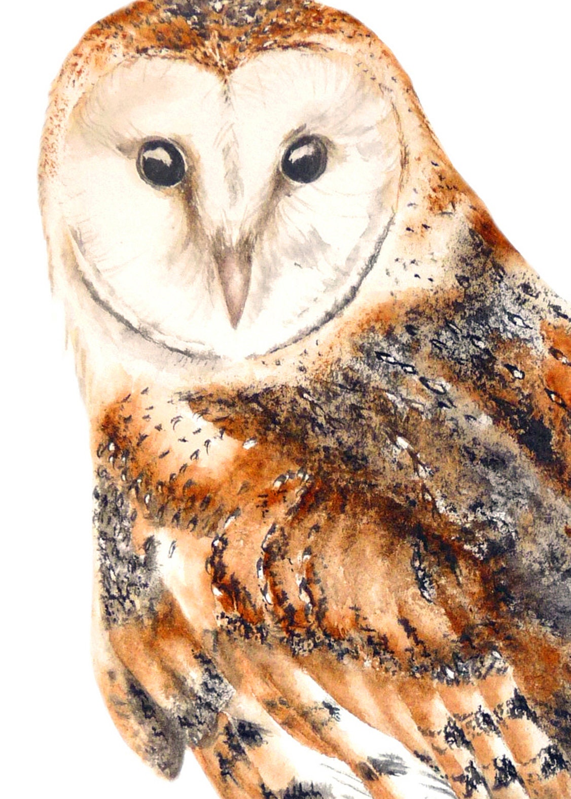 Barn Owl Large Fine Art Print Owl Painting Watercolour Owl Etsy