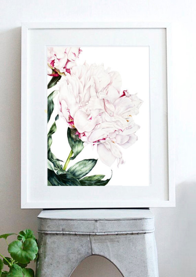 Botanical Art Print Large Botanical Print Watercolour Print Etsy