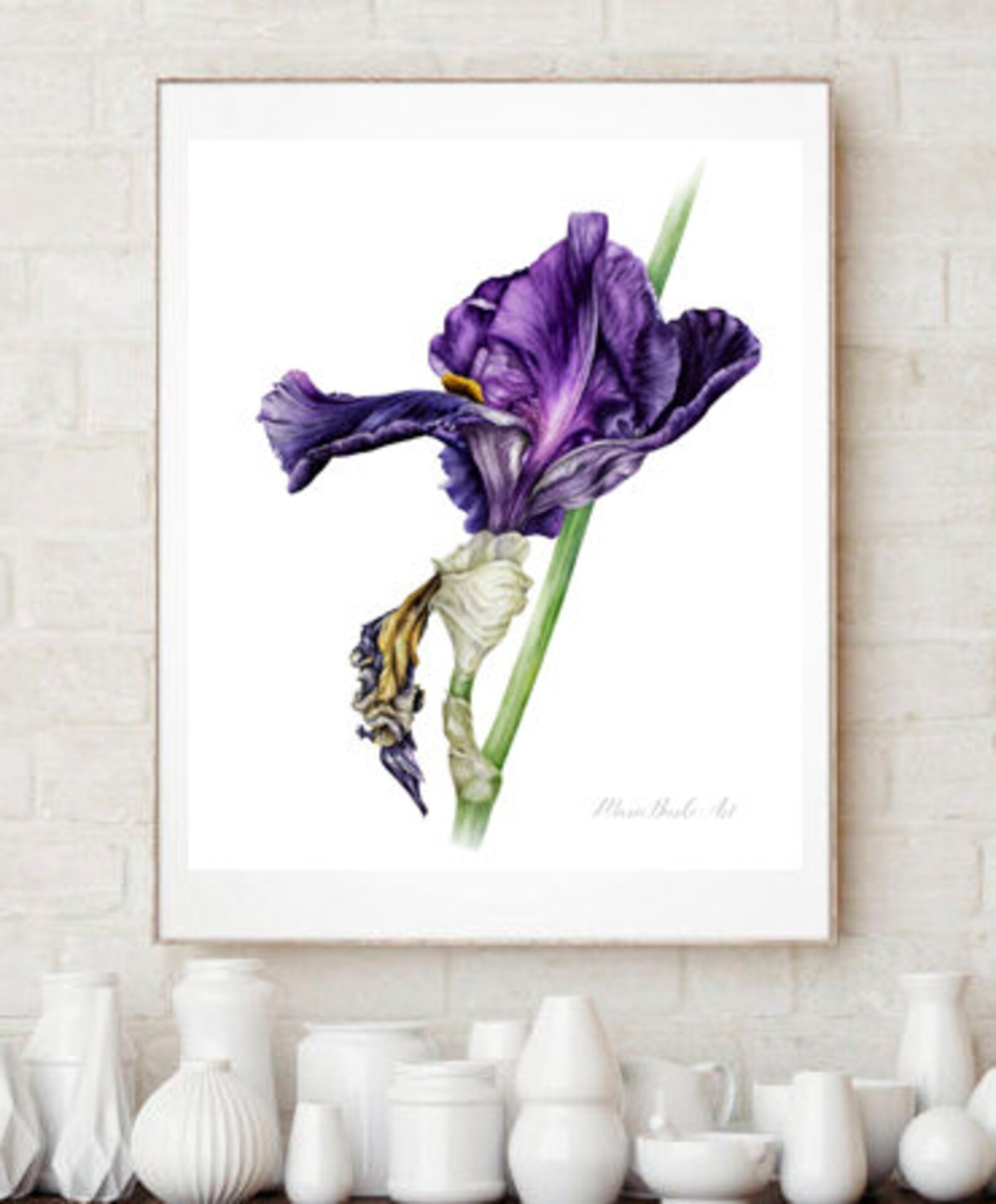 Purple Iris Art Print, Large Watercolor Print, Botanical Illustration ...