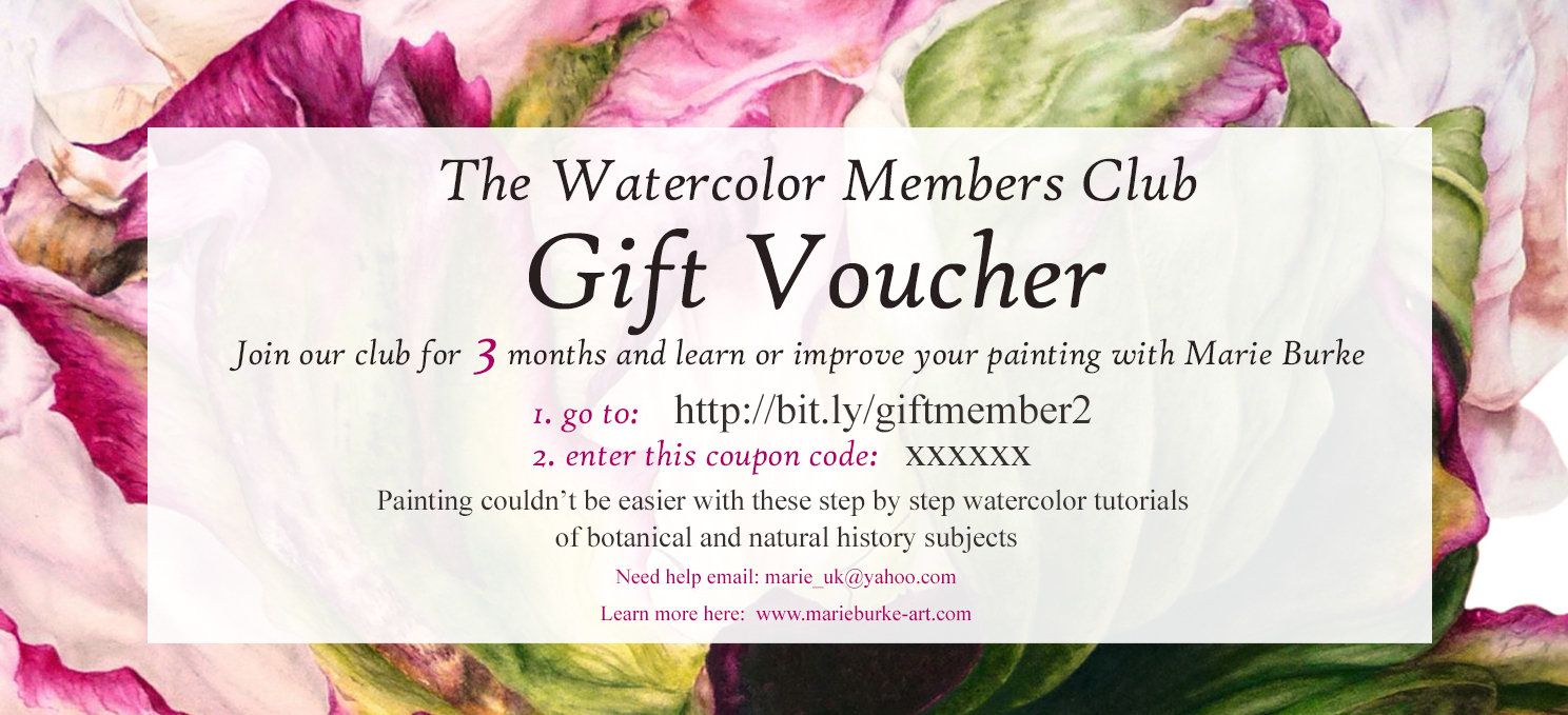 Learn to Paint Gift Voucher for Watercolor Painting Tutorials Etsy