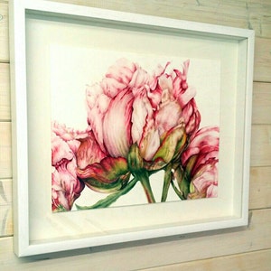 May include: A framed watercolor painting of pink peonies with green leaves. The peonies are in full bloom and the painting is set against a white background.