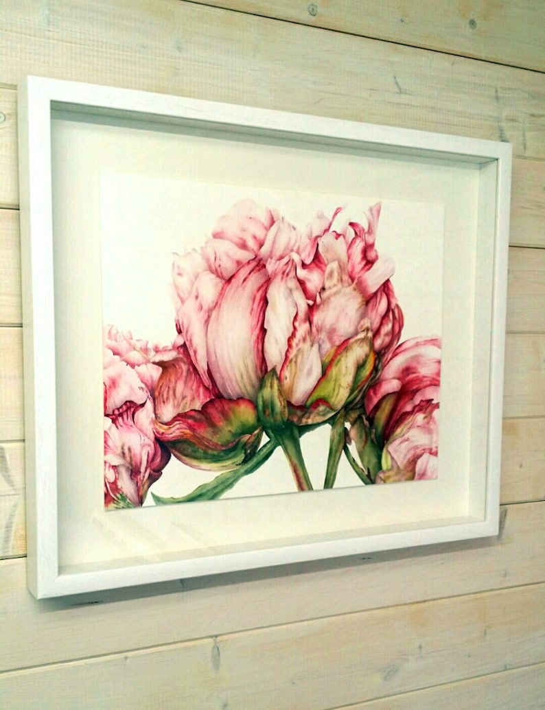 May include: A framed watercolor painting of pink peonies with green leaves. The peonies are in full bloom and the painting is set against a white background.