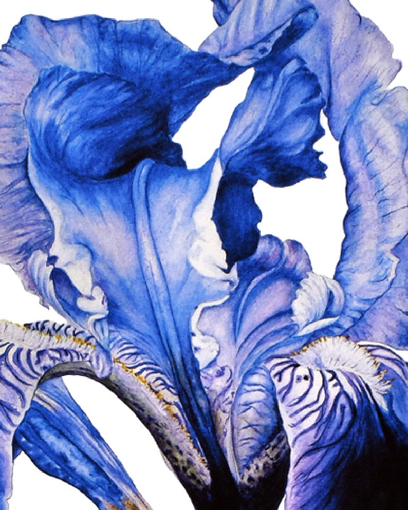 Large botanical print Flower Painting Botanical Art Etsy