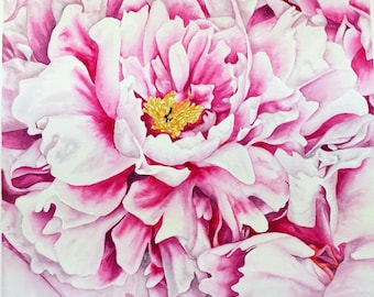 Peony Original Fine Art, Watercolour Painting, Botanical Illustration, Watercolor Art