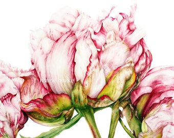 Flower Painting, Botanical Print, Home Decor, Gift for Her, Peony Watercolor Print, Botanical Art, Peony print, Flower Watercolor Painting