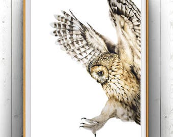 Owl Print, Tawny Owl in Flight Art Print, Home Decor, Fine Art  Prints, Gifts For Nature Lovers, Watercolour Prints, Wall Art, Wall Decor