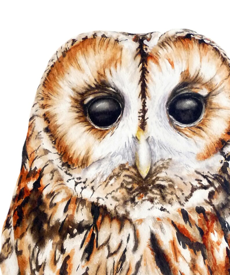 Tawny Owl Large Fine Art Print Watercolor Painting Owl Etsy UK