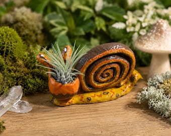 Ręcznie robiony pojemnik na rośliny powietrzne w kształcie ślimaka – Fairy Garden & Cottagecore Decor