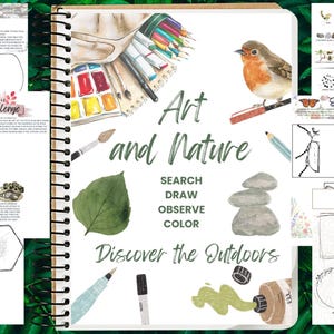 Kunst & Natur Unterrichts- und Aktivitätsleitfaden - COLOR
