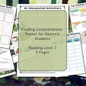Dyslexia Reading Comprehension Packet Reading Grade Level 7