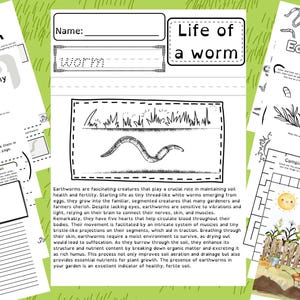 Earthworm Learning Packet: Life Cycle, Anatomy, Maze (Digital Download)
