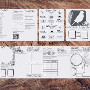 Art & Nature Lesson and Activity Guide -GRAYSCALE - Etsy