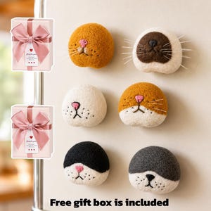 Puede incluir: Una colección de imanes con caras de gato en varios colores, incluyendo naranja, blanco, negro y gris, con narices rosas y bigotes. También se ven dos cajas de regalo con lazos rosas. El texto "Free gift box is included" está en la parte inferior.