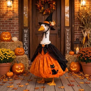 May include: A white goose wearing a black witch hat with orange and floral accents, a black cape with a small pumpkin clasp, and an orange dress featuring a black cat graphic. The goose has a black ribbon tied under its chin and orange feet.