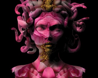 Enchanted Portrait: Flower Art Poster - Mysterious Woman - Nature Meets Art