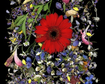 Petals Artwork Poster - Organized Chaos from My Garden - Eco-Friendly Print