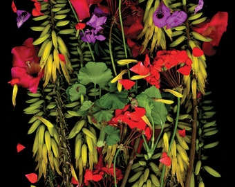 Floral Art Poster - Curated Garden Blooms on Semi-Glossy Paper