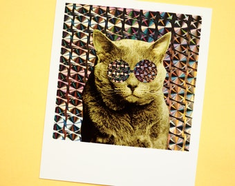 Chat Marrant Etsy Chat Marrant Etsy