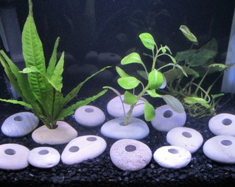 Live Plant Anchor for Aquarium, Natural Limestone from Lake Michigan, Non Lead, Rock Aquarium Decor, Suited for Neutral to Basic Tank pH