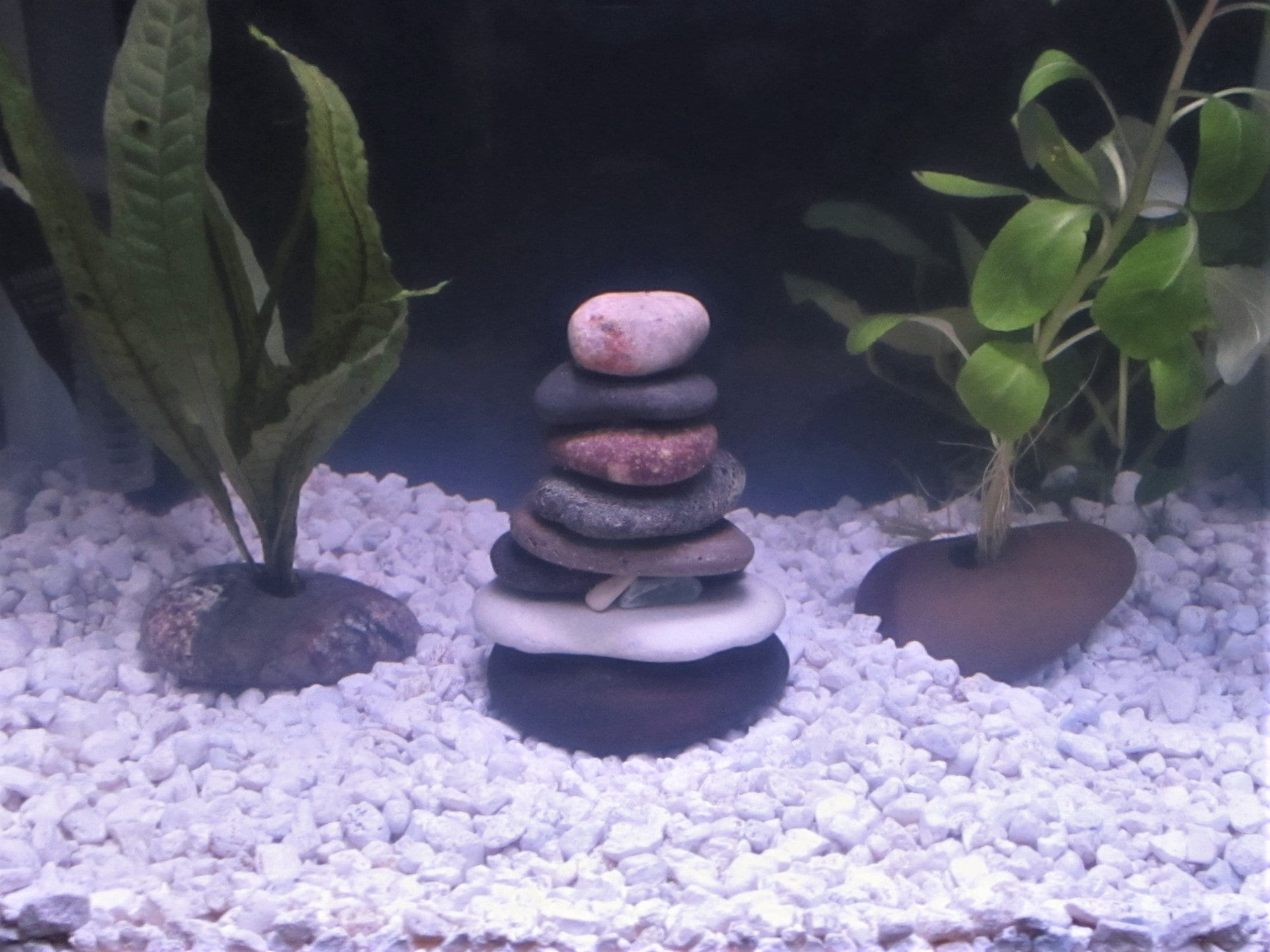 safe rocks to use in aquarium