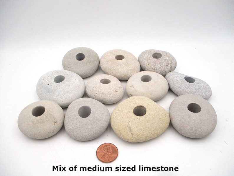 Live Plant Anchor for Aquarium Natural Limestone From Lake Etsy