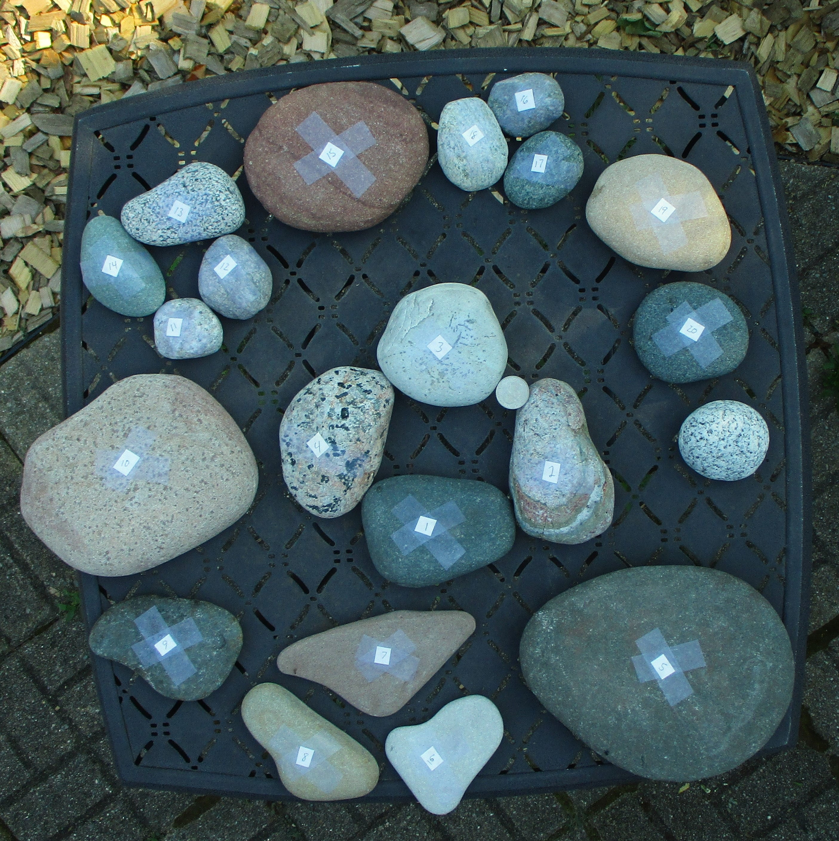 gallery photo