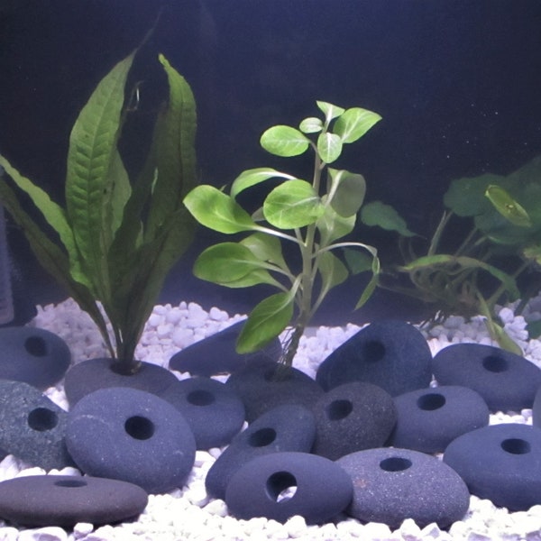 Plant Anchors for Aquarium Etsy