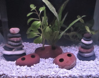 Live Plant Anchor for Aquarium with Natural Stone from Great Lakes, Natural Rock Aquarium Decor and Accessories, Multiple Holes for Plants