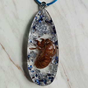 May include: A clear resin pendant with a brown cicada inside, accented with silver and blue flakes. The teardrop-shaped pendant hangs from a blue cord necklace with a silver clasp. The pendant is approximately 2 inches long.