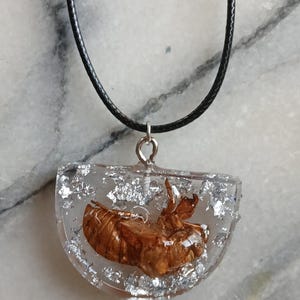 May include: A clear resin pendant necklace with a brown insect encased inside. The pendant is a half-circle shape with silver flakes suspended in the resin. The necklace has a black cord.