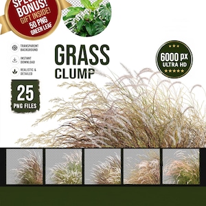 25 gräsklumpar PNG-utklipp, 6000px Ultra HD prydnadsgräs (digital nedladdning)