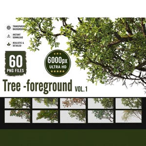 60 superposiciones PNG de árboles en primer plano, ramas en ultra alta definición para encuadre de visualización arquitectónica (descarga digital)