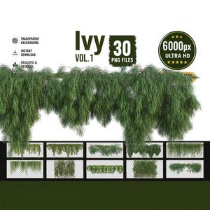May include: A digital collection of 30 high-resolution PNG files featuring realistic green ivy foliage. The set includes various hanging and trailing ivy plant arrangements with detailed leaves, presented against a transparent background.