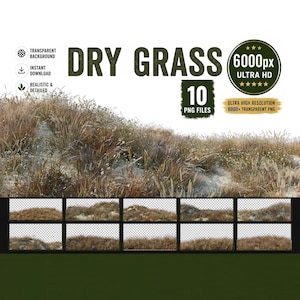 Superposiciones de hierba seca, imágenes PNG realistas de pradera estilo boho (descarga digital)