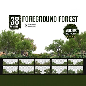 38 Ultra HD-skogs-PNG-utklipp, 7000px trädgränsöverlägg (digital nedladdning)