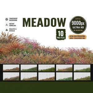 10 Realistic Meadow Grass PNG, 9000px Ultra HD Wild Field Assets (Digital Download)