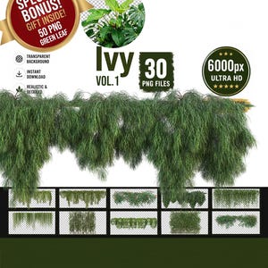 Puede incluir: Una colección digital de 30 archivos PNG de alta definición con follaje de hiedra verde realista. El conjunto incluye varios arreglos de plantas colgantes y rastreras con fondos transparentes, etiquetados como Ivy Vol. 1 con resolución de 6000px.