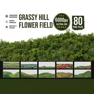 Puede incluir: Una colección digital de 80 archivos PNG con imágenes de colinas cubiertas de hierba y campos de flores. El texto dice GRASSY HILL FLOWER FIELD, 6000px ULTRA HD y 80 PNG FILES. Los gráficos muestran varias laderas verdes con flores.