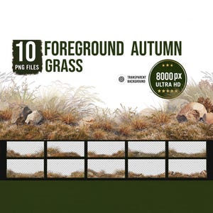 Op de afbeelding: Een digitale collectie van 10 PNG-bestanden met herfstgras op de voorgrond, bestaande uit bruin en beige gedroogd gras met verspreide rotsen. De tekst luidt 10 FOREGROUND AUTUMN GRASS, TRANSPARENT BACKGROUND en 8000 px ULTRA HD in hoge resolutie.