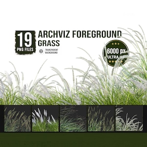 May include: A digital collection of 19 archviz foreground grass PNG files with transparent backgrounds. The image features tall green grass with white feathery plumes, labeled 6000 px Ultra HD, showcasing various grass textures and styles.
