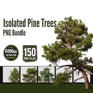 May include: A digital collection titled Isolated Pine Trees PNG Bundle featuring 150 PNG files at 6000px Ultra HD resolution. The graphic displays a large, detailed pine tree with green needles and a brown trunk, alongside four smaller tree thumbnails.