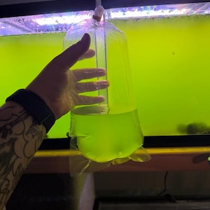 May include: A clear plastic bag filled with a vibrant green liquid, likely for aquatic life. The bag is sealed at the top with a red tie. The background shows a green-tinted aquarium.