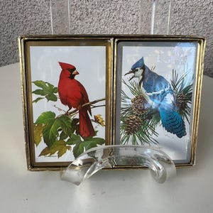 Vtg Nuovo set di carte da gioco Scatola National Wildlife Federation Tema uccelli